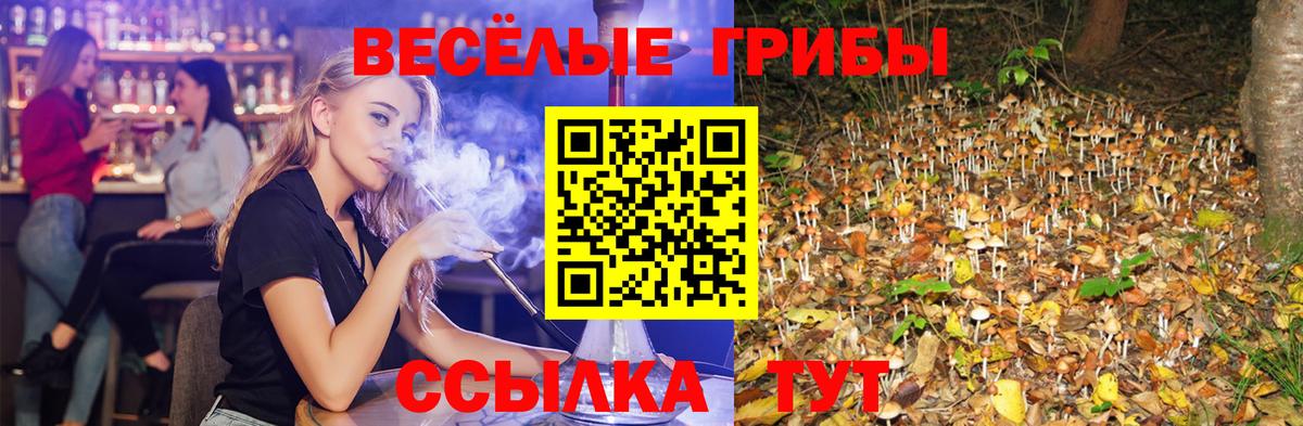 Псилоцибиновые грибы GOLDEN TEACHER Озёры